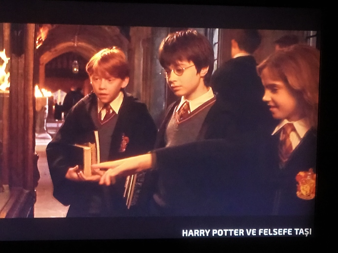 Televizyonda var koşun, Harry Potter severmisiniz?
