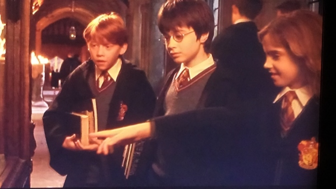 Televizyonda var koşun, Harry Potter severmisiniz?