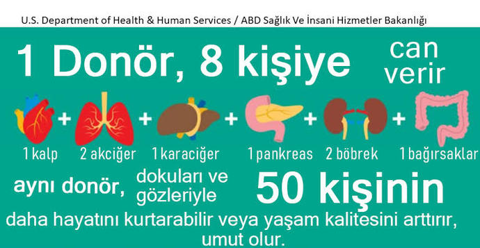 Organ bağışı hakkında ne düşünüyorsun?