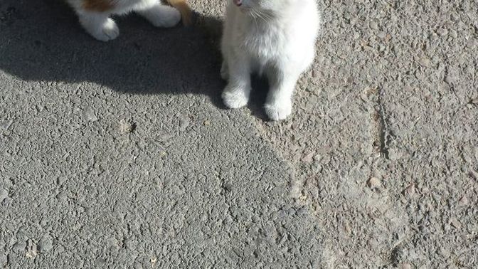 Duygusal olmadığını düşünen insanlar, seni kırmaya çalışır mı?