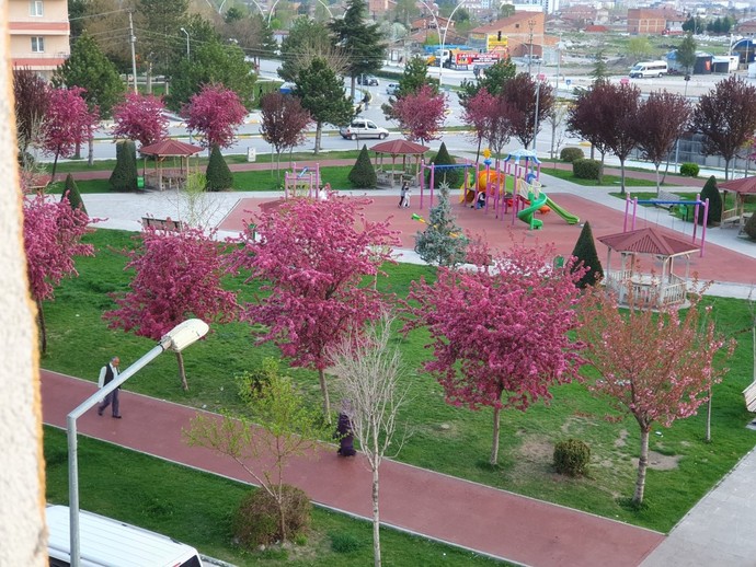 Kendi telefonundan en son çektiğin fotoğraf hangisi?
