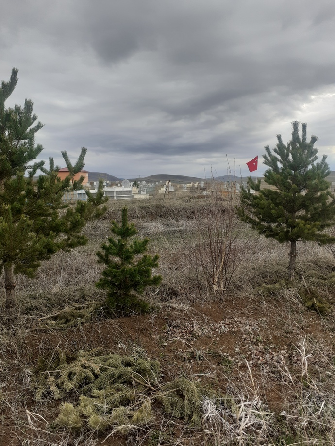 Kendi telefonundan en son çektiğin fotoğraf hangisi?