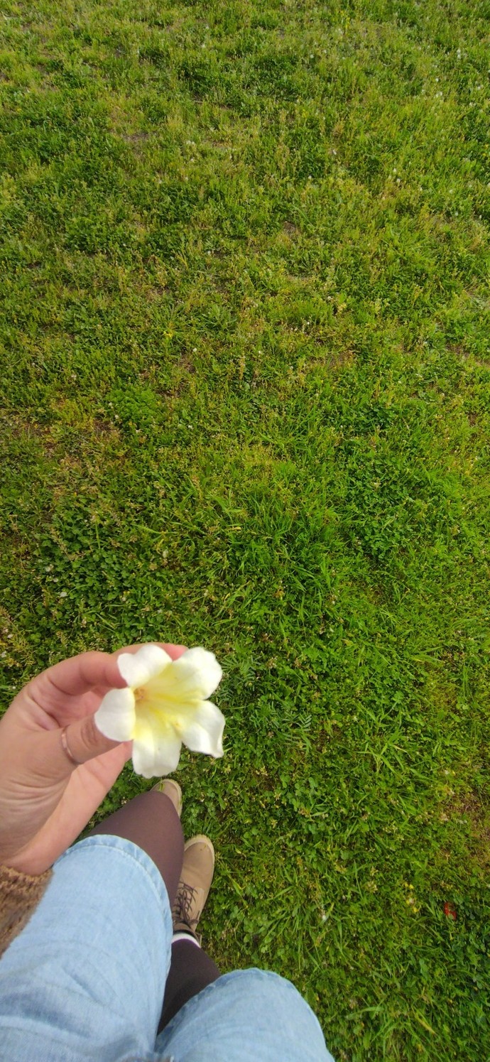 Kendi telefonundan en son çektiğin fotoğraf hangisi?