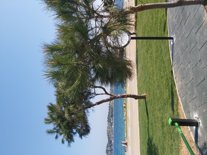 Kendi telefonundan en son çektiğin fotoğraf hangisi?