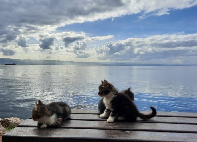 Kendi telefonundan en son çektiğin fotoğraf hangisi?