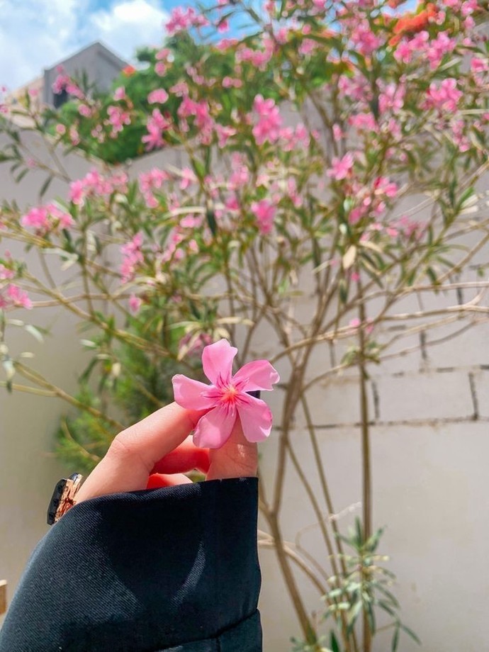 Selamm, bu gün nasılsınızz✨️?