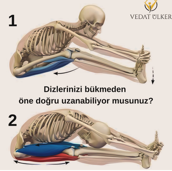 Detaya göre vücudunuz esnek mi?