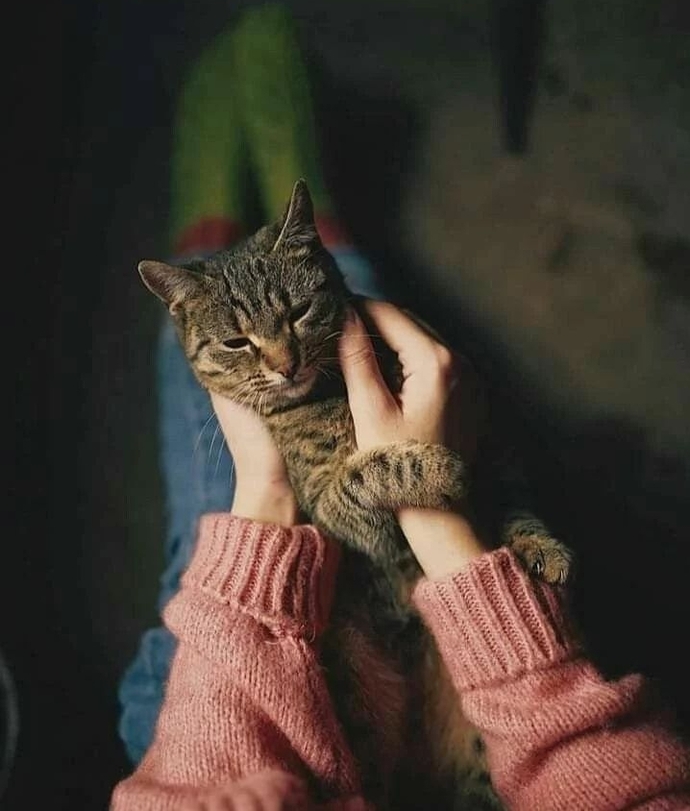 Soluklamak da yolculuğa dahil midir?