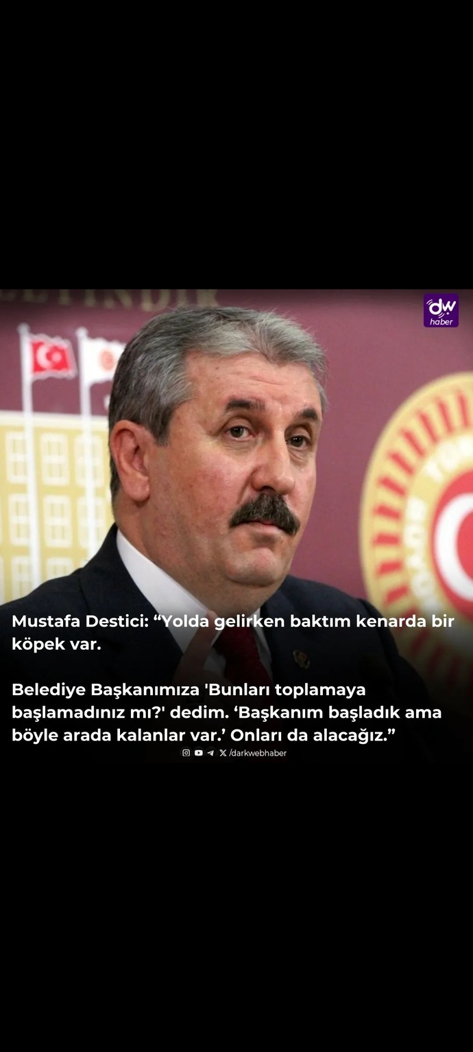 Medyanın saçma sapan algıları yüzünden sokak hayvanlarına zarar verilmesi hakkında ne düşünüyorsunuz?