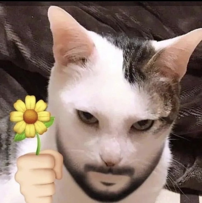 Romantik misiniz 💕?