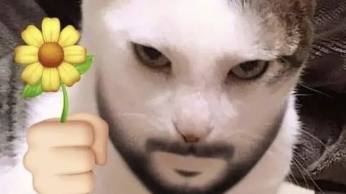 Romantik misiniz 💕?