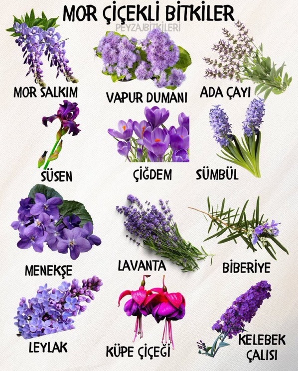 💜