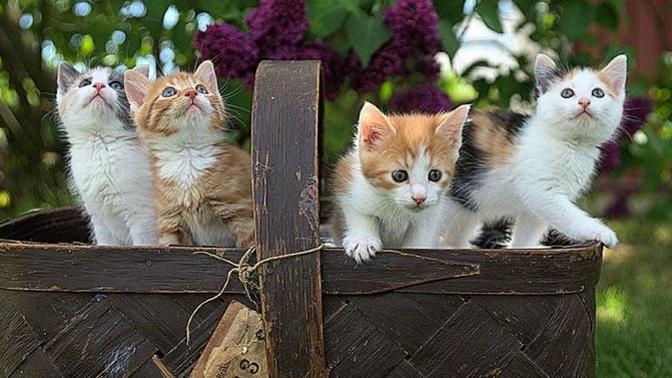 Hayatta en çok keyif aldığınız şeyler nelerdir?
