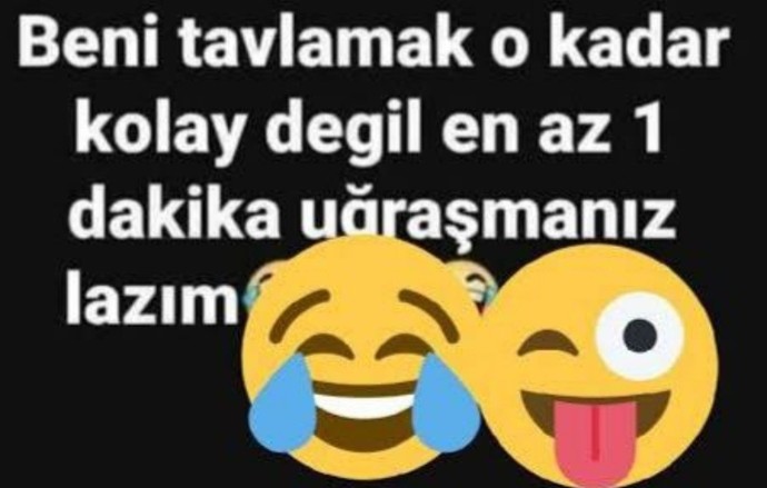 Türk erkeğini tavlaması kaç dakika sürer?