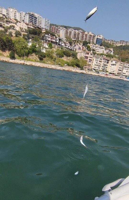 Terapi gibi geliyor dediğiniz ne var?