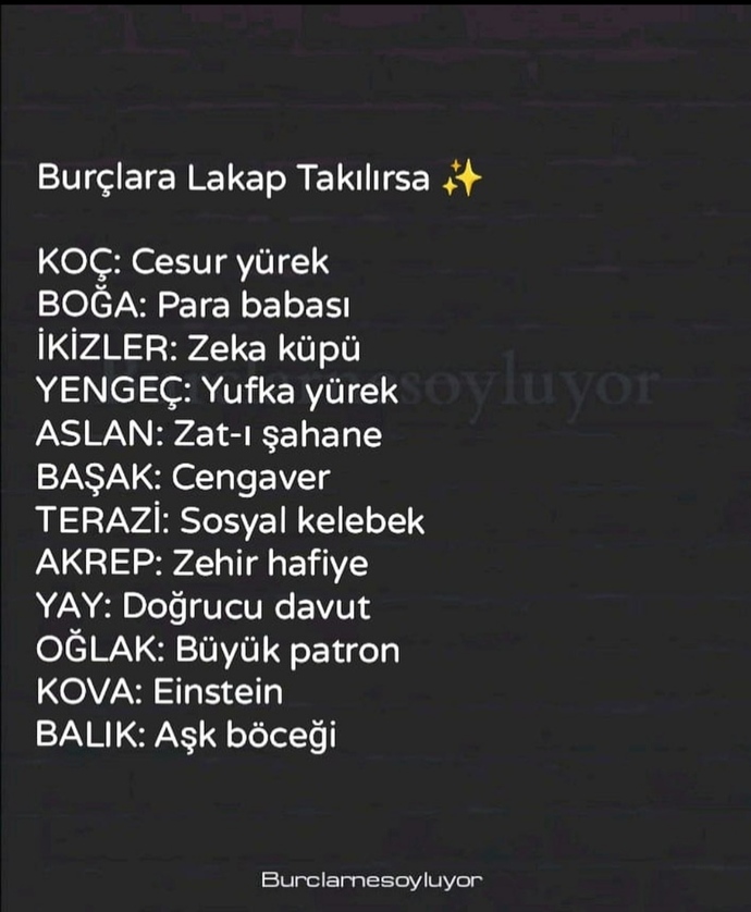 Burcunuza göre sizin lakabınız ne olmalıdır?