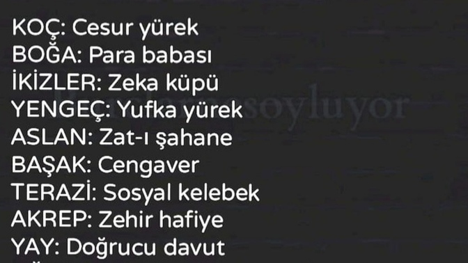 Burcunuza göre sizin lakabınız ne olmalıdır?