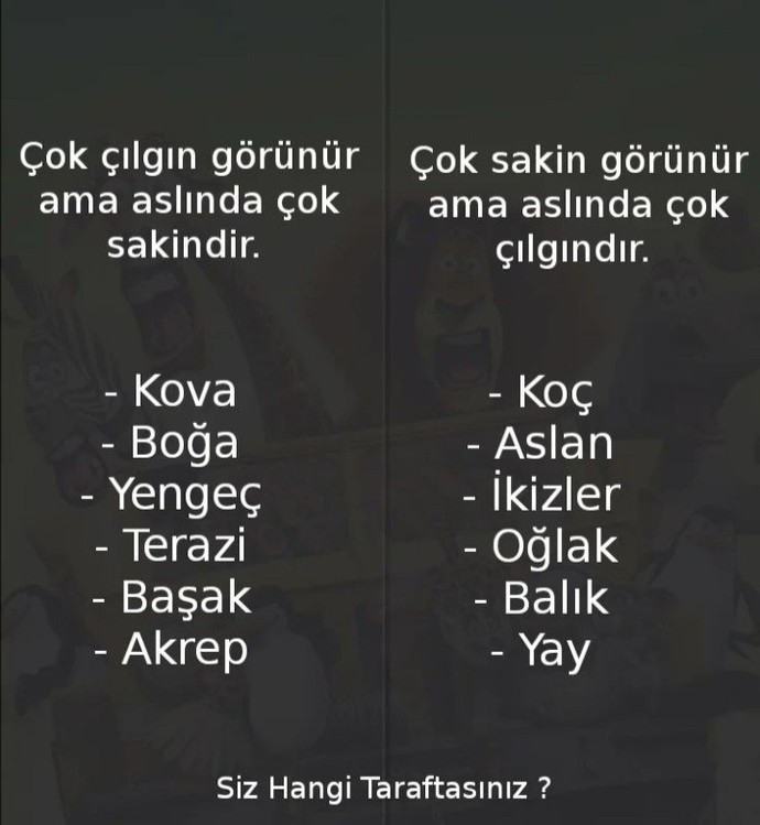 Burçlar ne kadar çılgın ne kadar sakin?