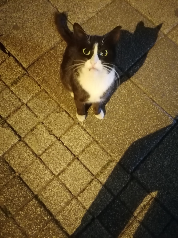 Sevginizi nasıl ifade ediyorsunuz?