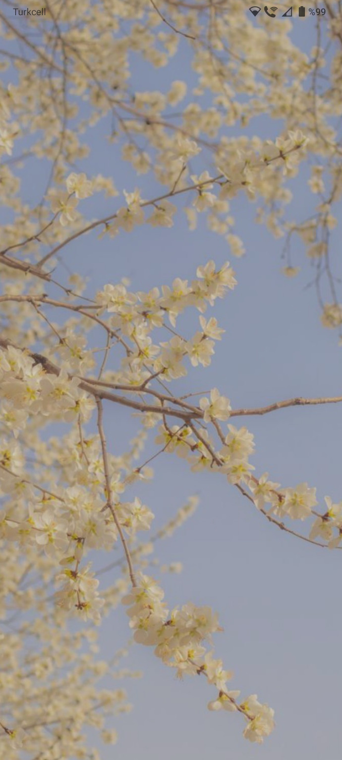 Ekran resminizde ne var🙂🌸?