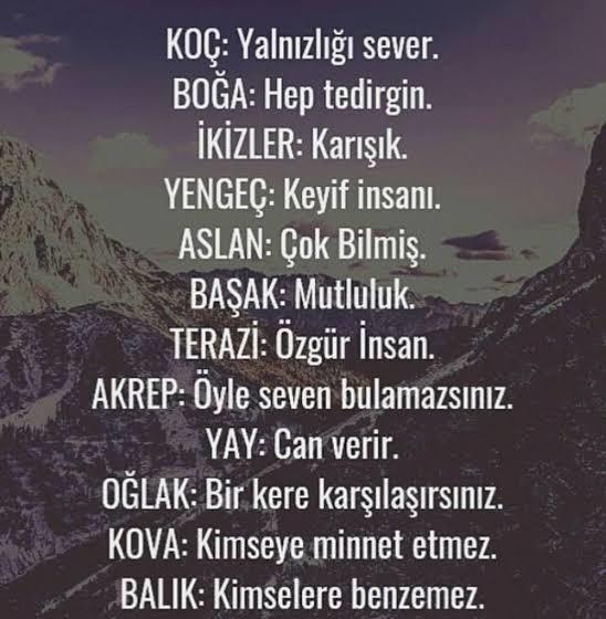 Burcuna göre hangisi sensin🤔?