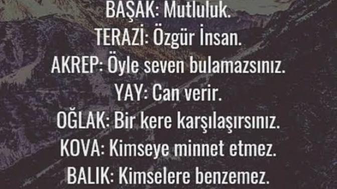 Burcuna göre hangisi sensin🤔?