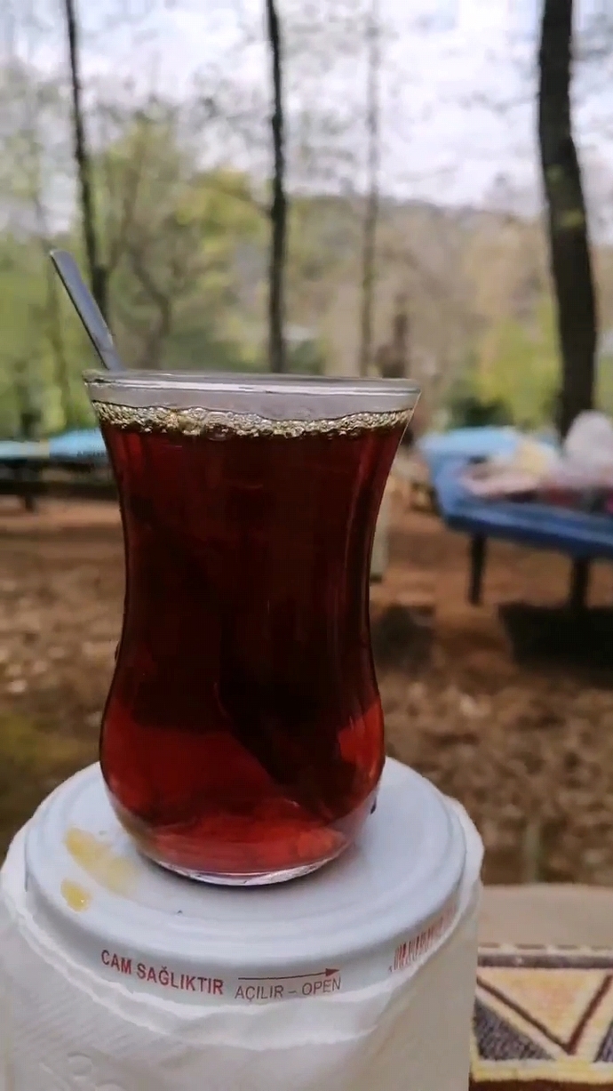En sevdiğiniz çay çeşidi hangisi?