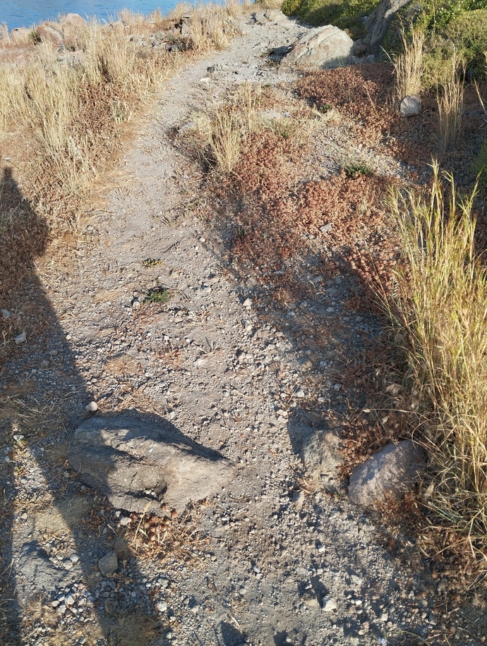 Kimler sporunu yapıyor?
