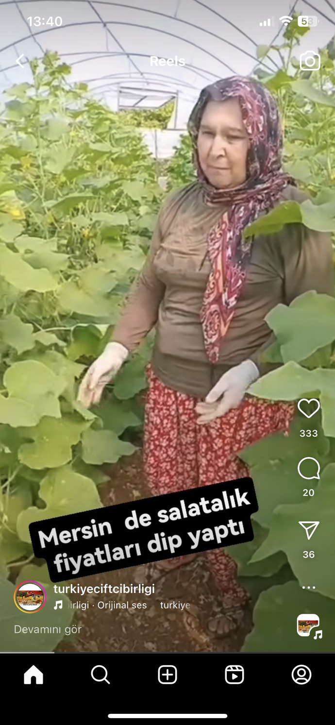 Çiftçiler ürünlerin para etmemesinden dertli sizce sorun nerede?