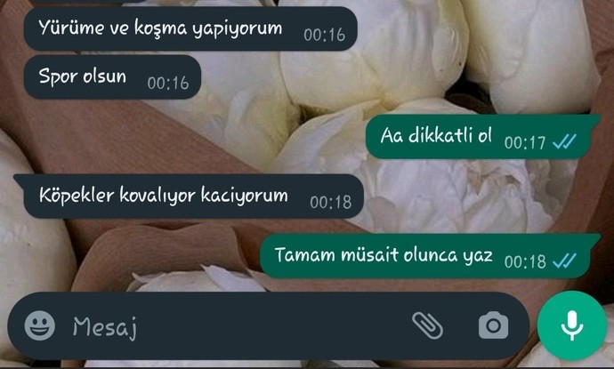 Size sürekli meşgul olduğunu iddia eden karşı cinsin samimiyetine inanır mıydınız?