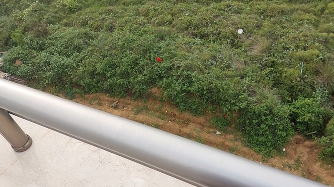 Balkon havası almaya başladınız mı?