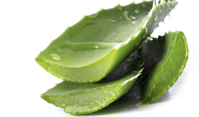 Aloe vera cilde iyi gelir mi sivilcelere falan?