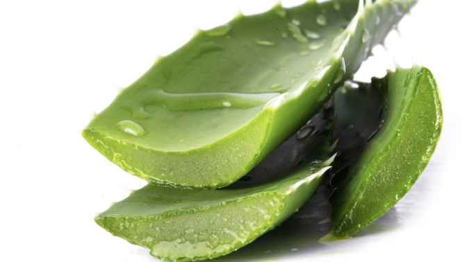 Aloe vera cilde iyi gelir mi sivilcelere falan?