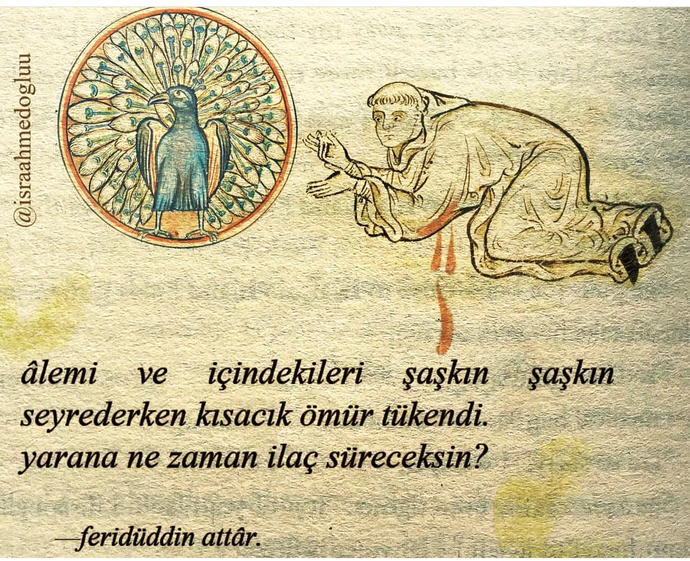 Yaralarınızın şifasını bulabildiniz mi?