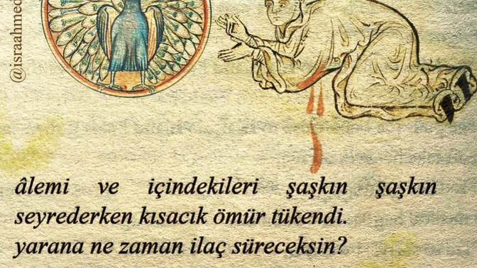 Yaralarınızın şifasını bulabildiniz mi?