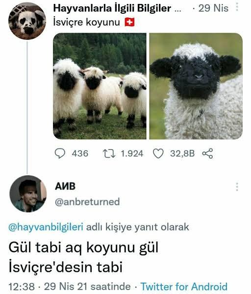 İlk dairem için sözleşme imzalandı! Hadi, bana hayırlı olsun yok mu?