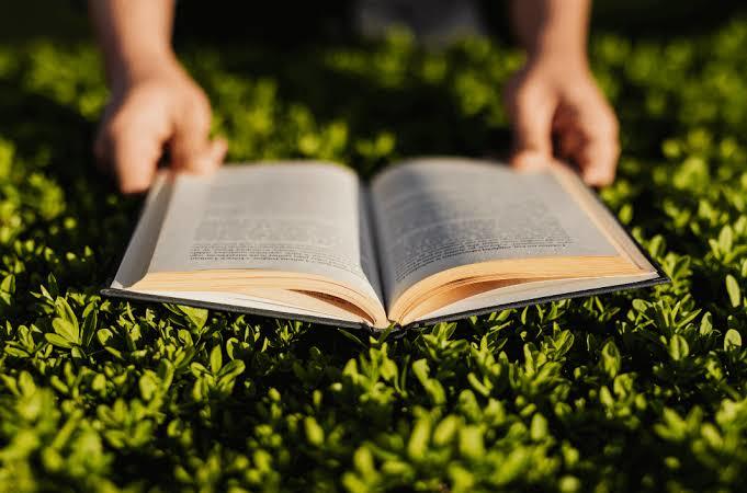 Kitap okumak için maviyi mi tercih edersin yeşili mi?