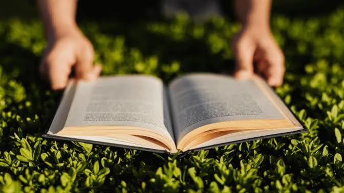 Kitap okumak için maviyi mi tercih edersin yeşili mi?