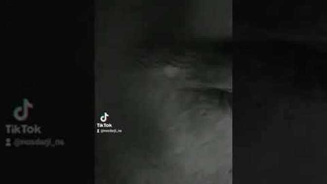 En son ne zaman kendi kendinize şarkı söylediniz? Ve bir başkasına?