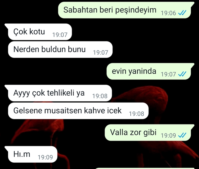 Evine çağıran kızın amacı ne?