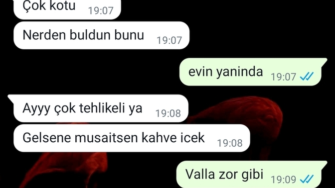 Evine çağıran kızın amacı ne?