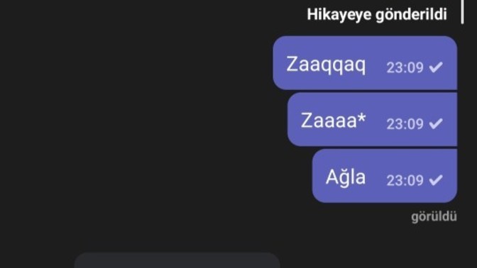 Öylesine goy goy icin yazdim ve bunu herkese yapıyorum ilk defa biri sert tepki gösterdi bir sey yapabilir mi?