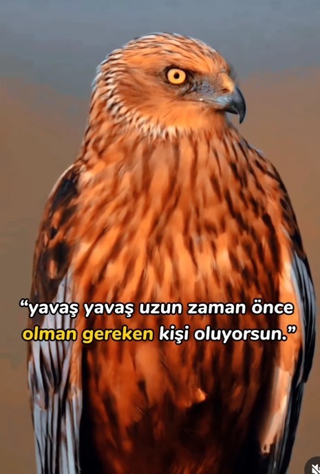 Doğru mu? Soru resimde?