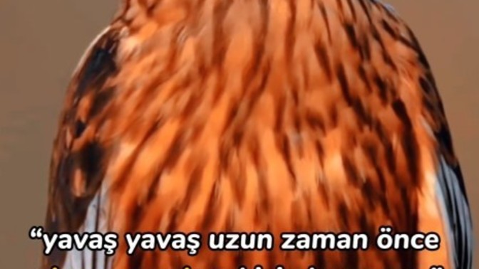 Doğru mu? Soru resimde?
