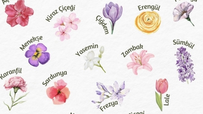 Bahar çiçeklerinden sizin en sevdiğiniz hangisi?