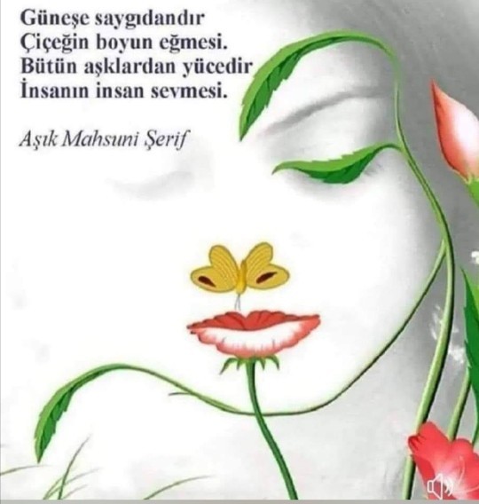 İnsanlara karşı hangi dili kullanıyorsun?