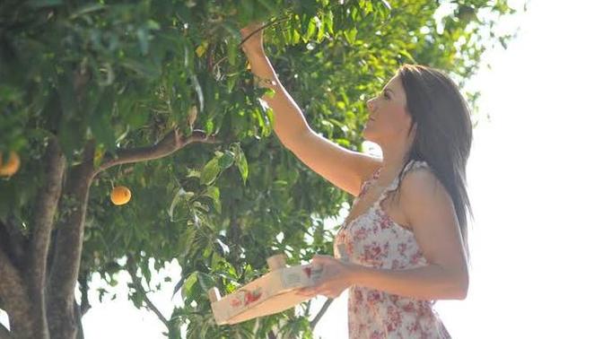 Hangi meyveyi dalından yemek daha keyif veriyor?