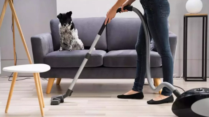 Süpürge dediğin torbalı mı yoksa torbasız mı olmalı?