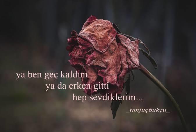 Bütün sevdiklerin ölüyor, sen kalıyorsun naparsın?