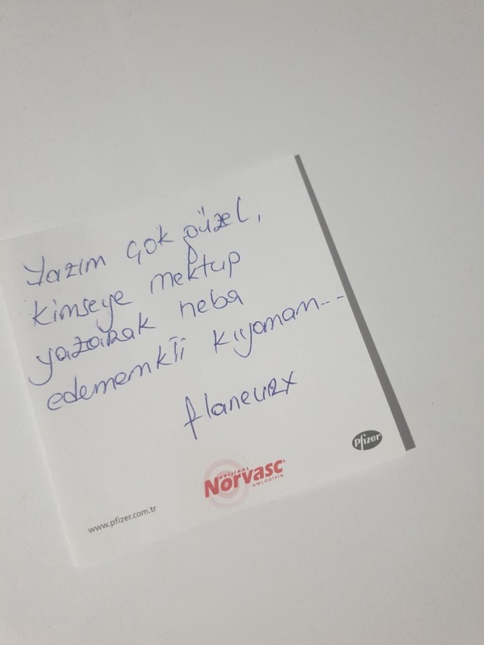Sitede kiminle mektup arkadaşı olmak isterdin?